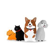 Animales
